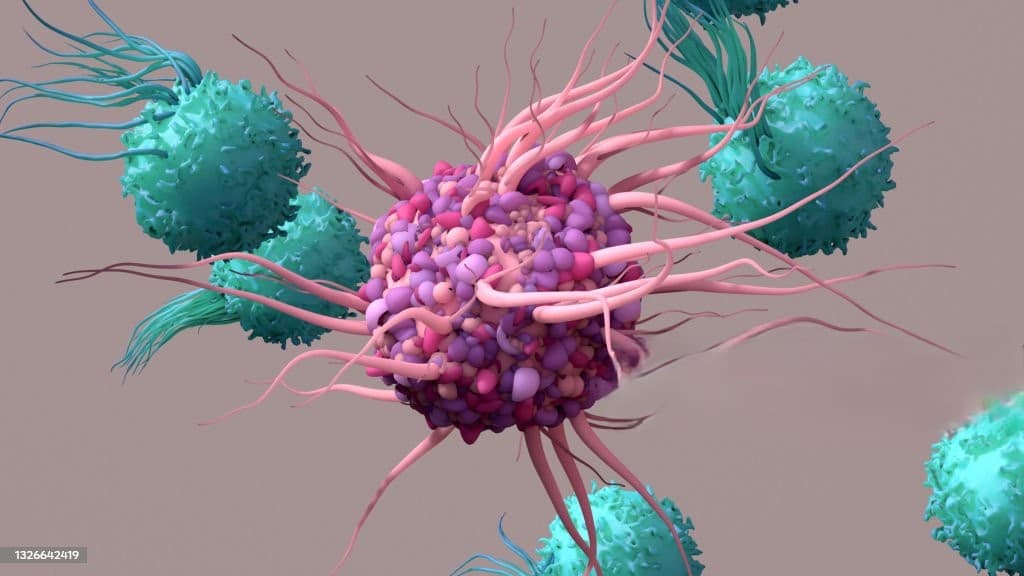Afghanistan Organization for Cancer Control 