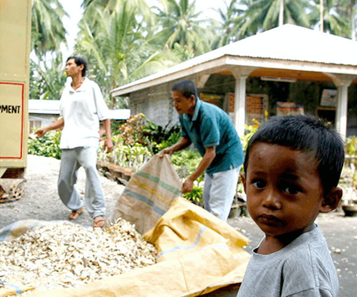 Food and Agriculture Organization 