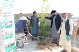 Afghanistan Relief and Sustainable Development Organization (ARSDO)