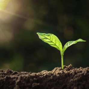  Mutakamela Insurance