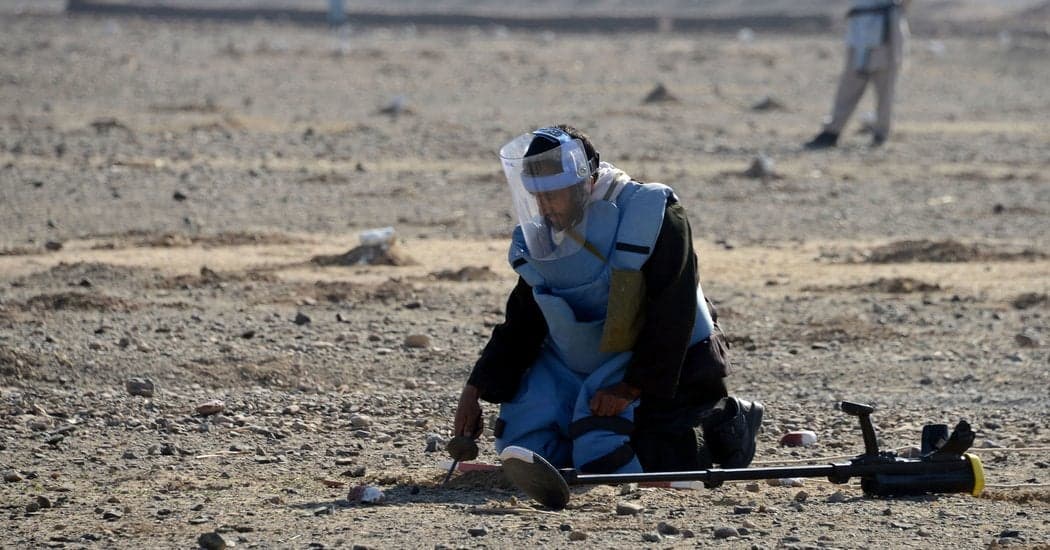 Dimining sector cover