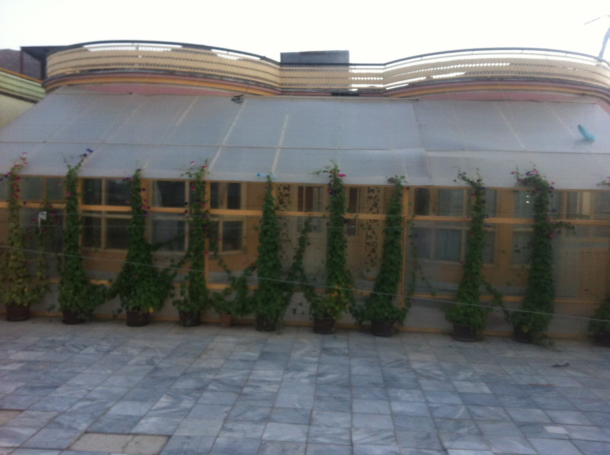 Rural Movement Organization (RMO)