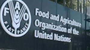 Food and Agriculture Organization of the United Nations